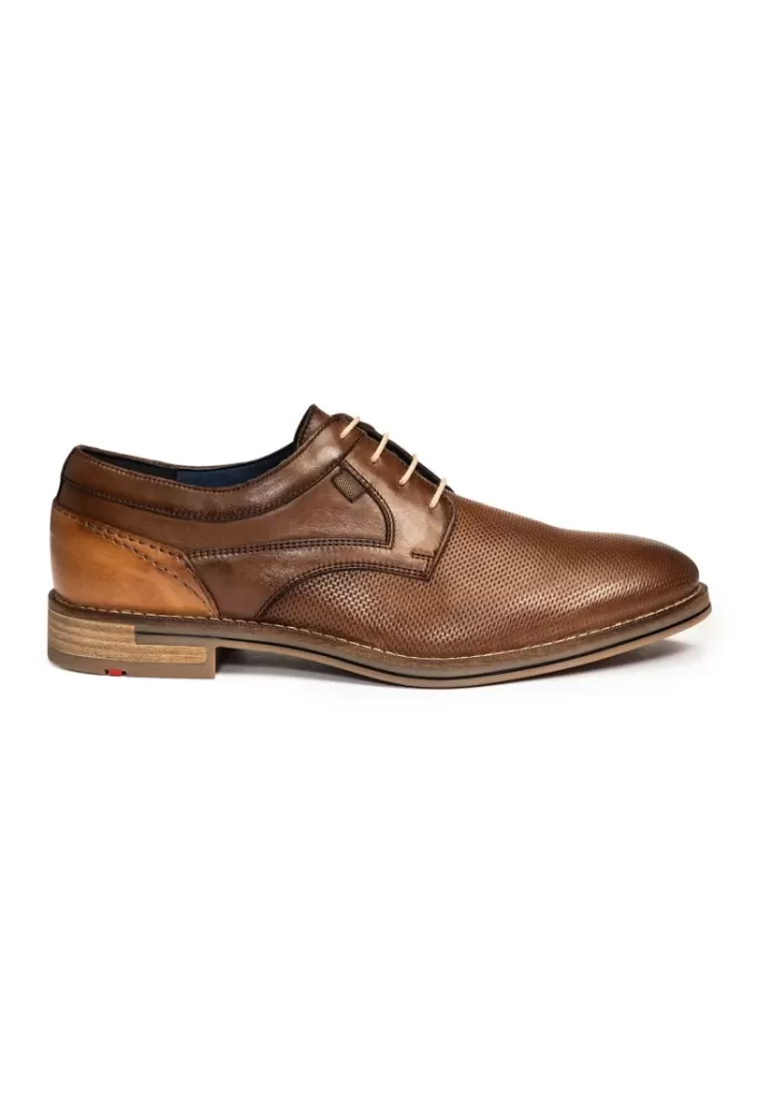 darcy_4.webp LLOYD DARCY Braun Outlet