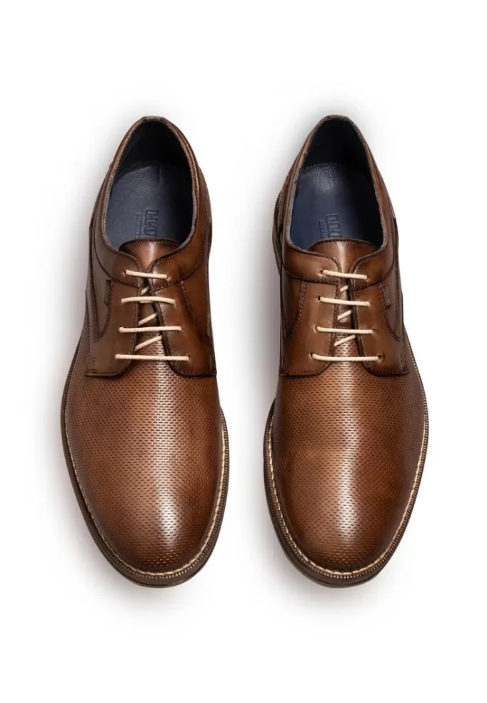 darcy_5.webp LLOYD DARCY Braun Outlet