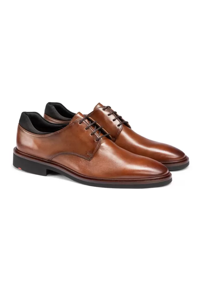 LLOYD DERBY Braun Best Sale