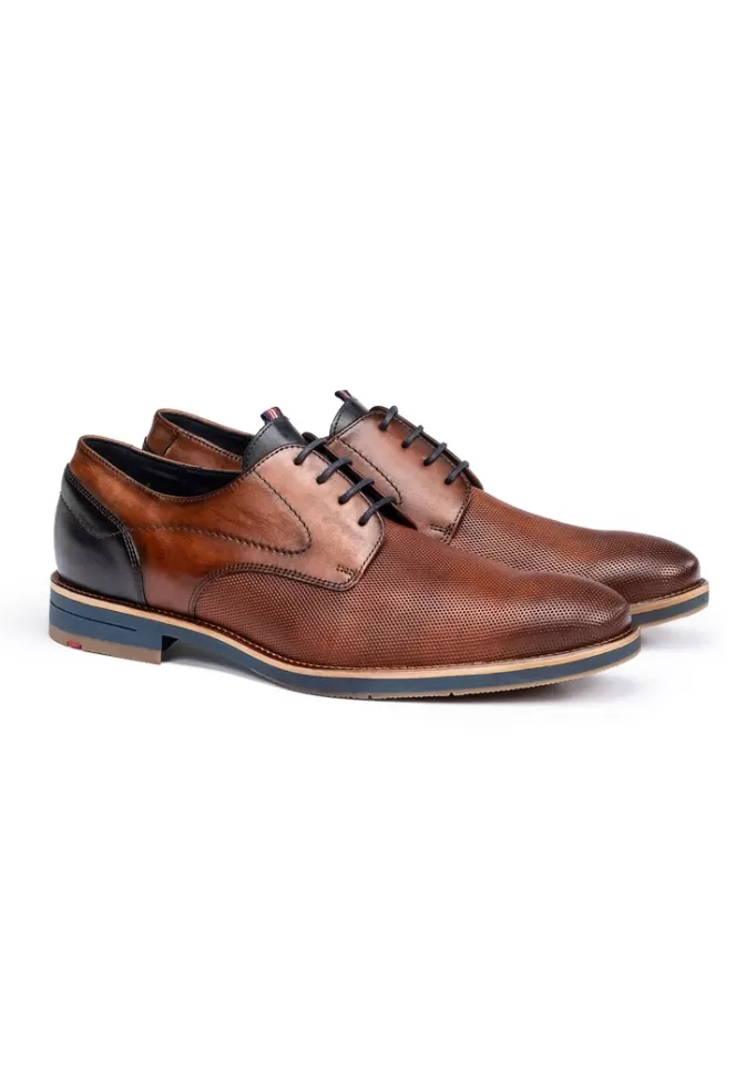 LLOYD HARRIS Braun Best Sale